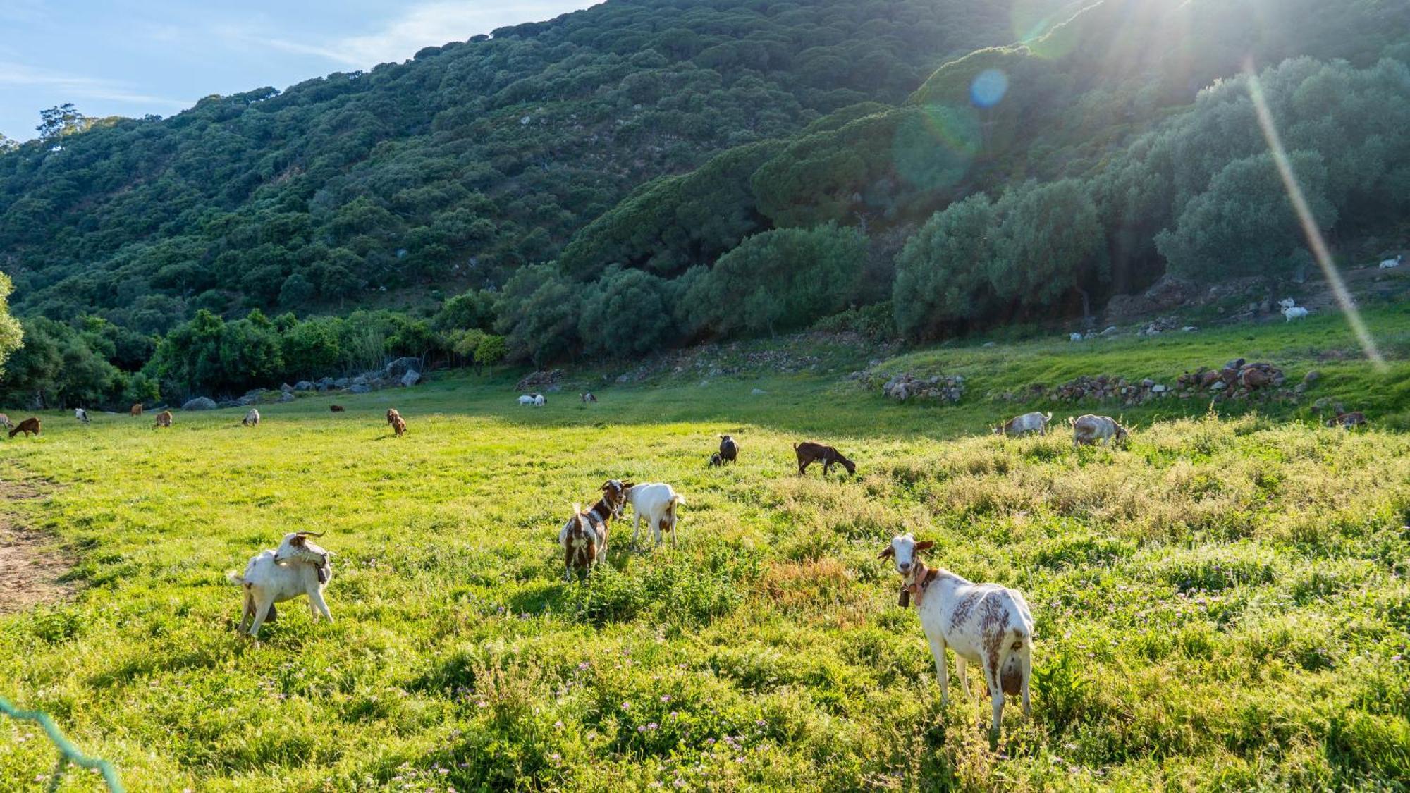 Appartamento Bella Vista Tarifa II Esterno foto